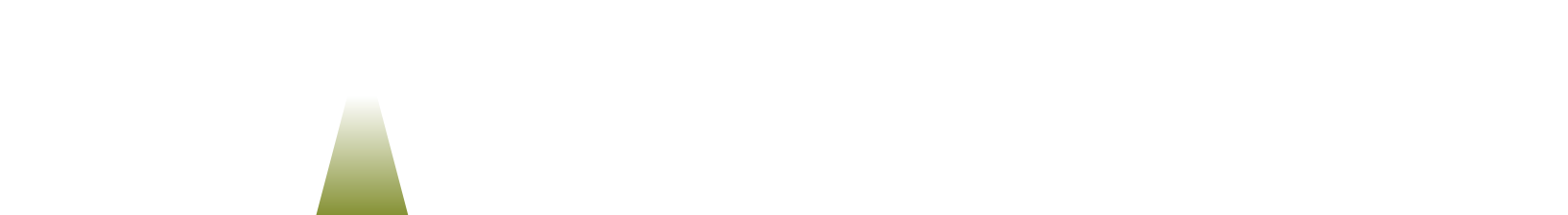 SATHEA VISION s.r.o.